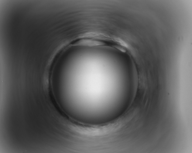 X0000088880015200706151820