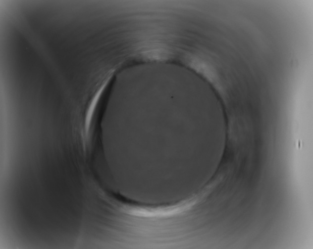 X0000088880017200706151820