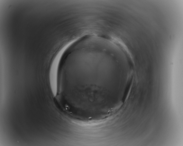 X0000088880019200706151820