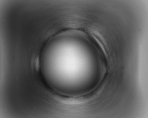 X0000088880020200706151820