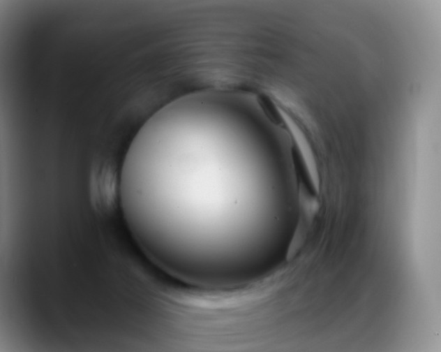 X0000088880021200706151820