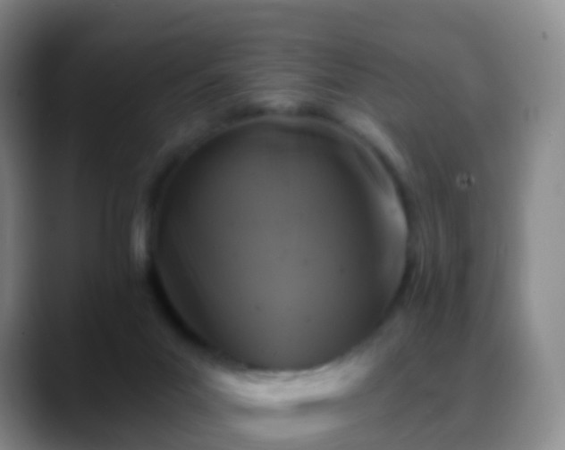 X0000088880023200706151820