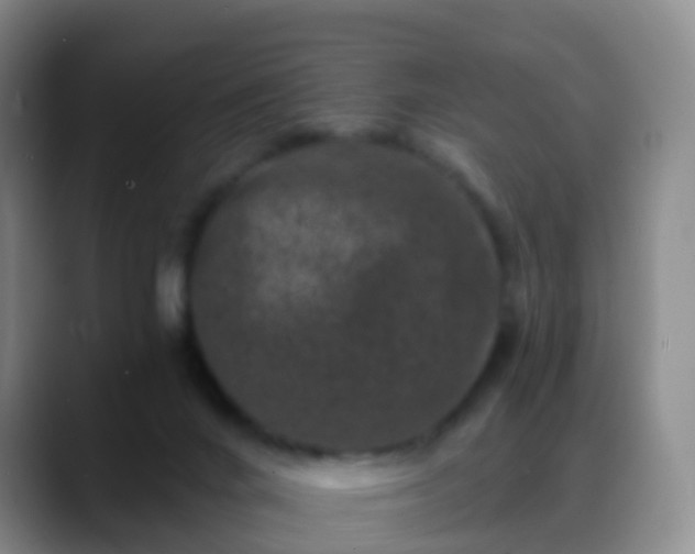 X0000088880024200706151820