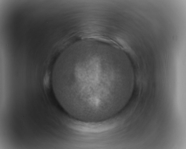 X0000088880026200706151820