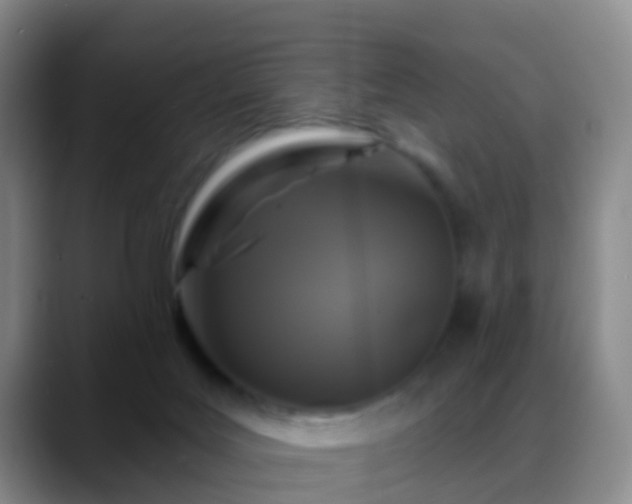 X0000088880027200706151820