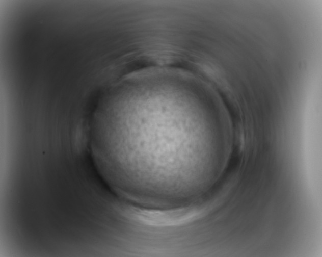 X0000088880030200706151820