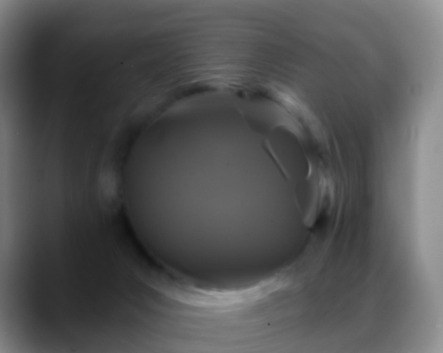 X0000088880031200706151820