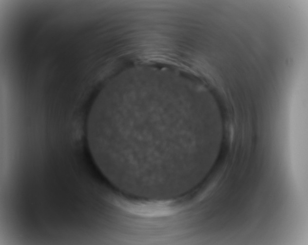 X0000088880032200706151820