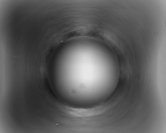 X0000088880034200706151819