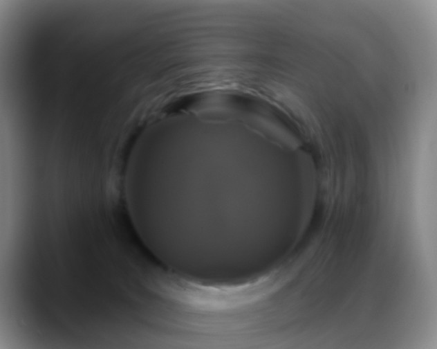 X0000088880035200706151819