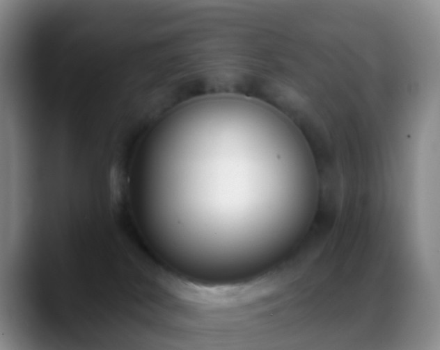 X0000088880038200706151819