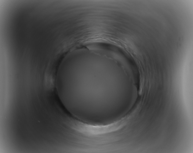 X0000088880039200706151819