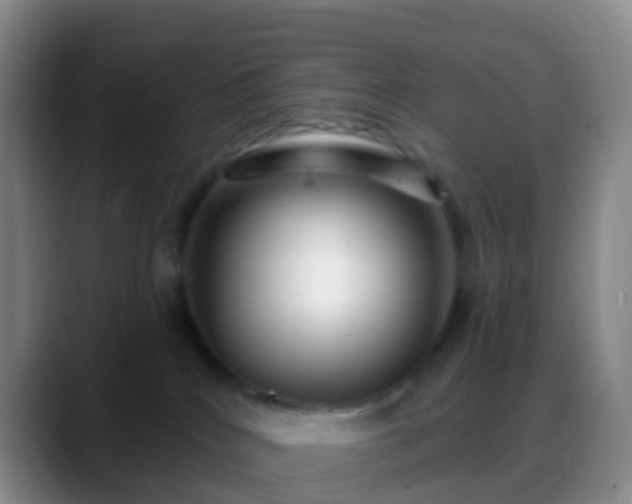 X0000088880040200706151819