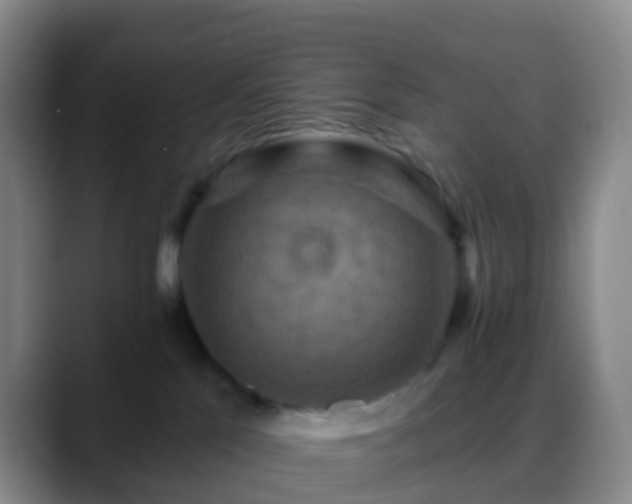 X0000088880041200706151819