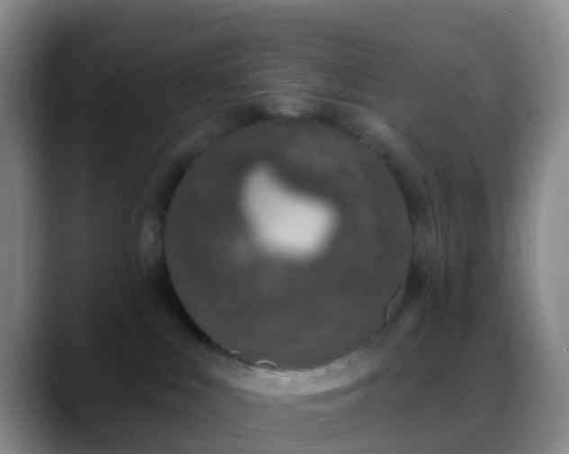 X0000088880043200706151819