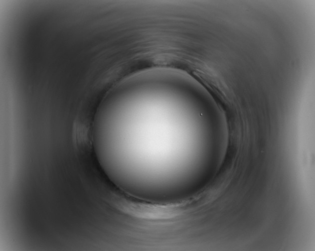 X0000088880044200706151819