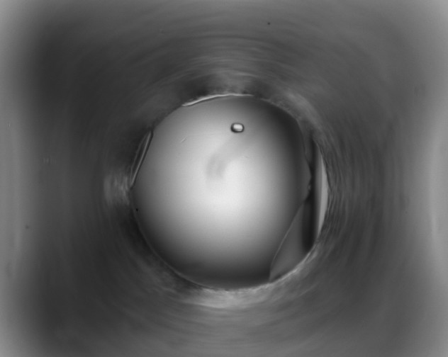 X0000088880045200706151819