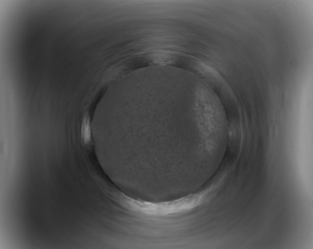 X0000088880046200706151819