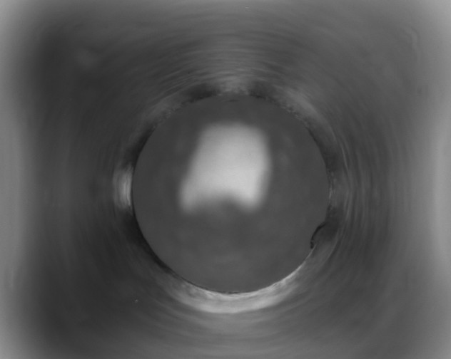 X0000088880047200706151819