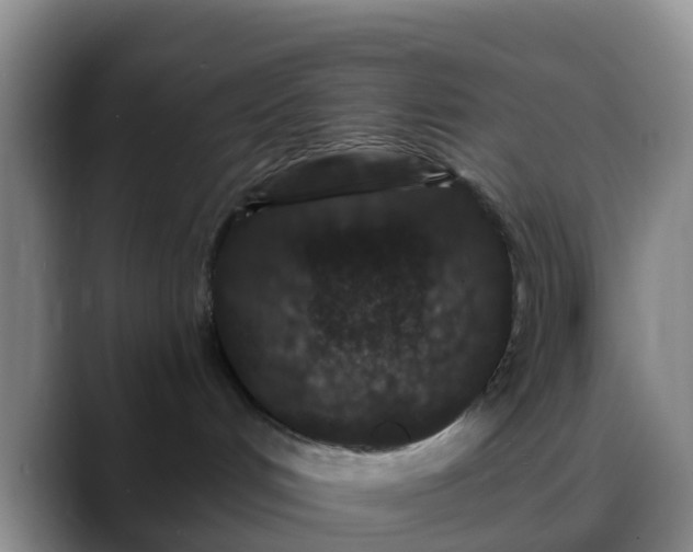 X0000088880048200706151819