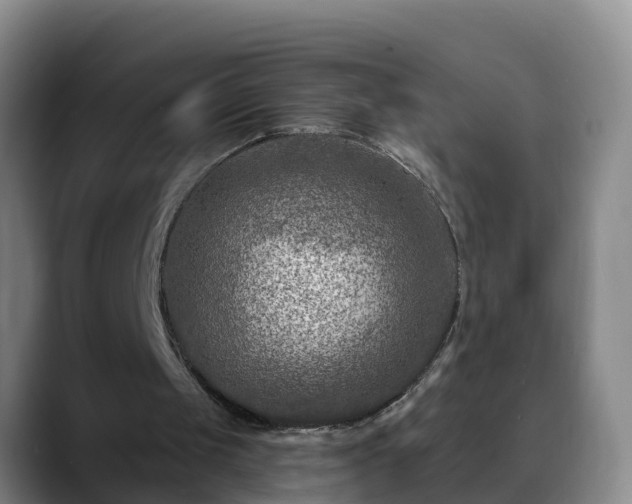 X0000088880049200706151819