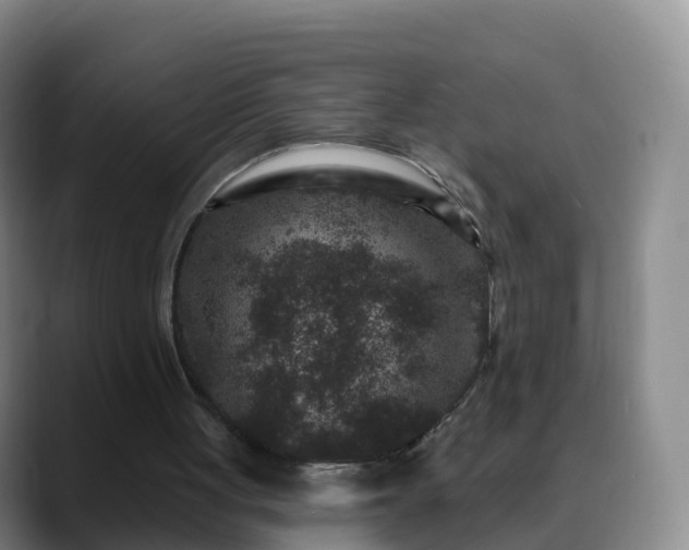 X0000088880051200706151819