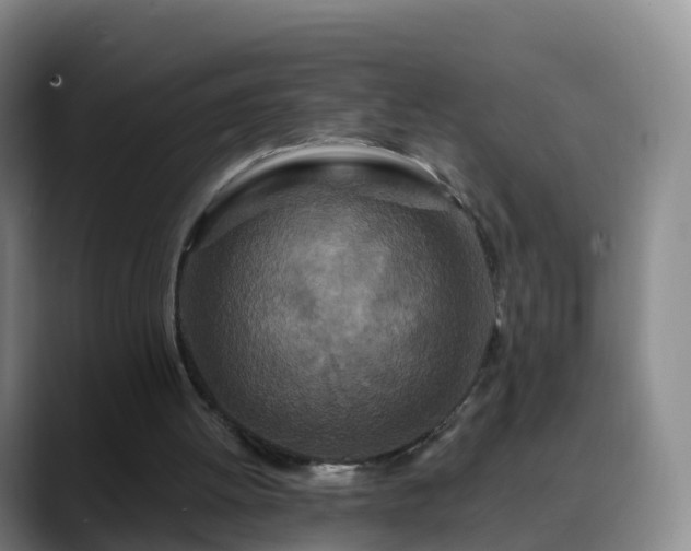 X0000088880052200706151819