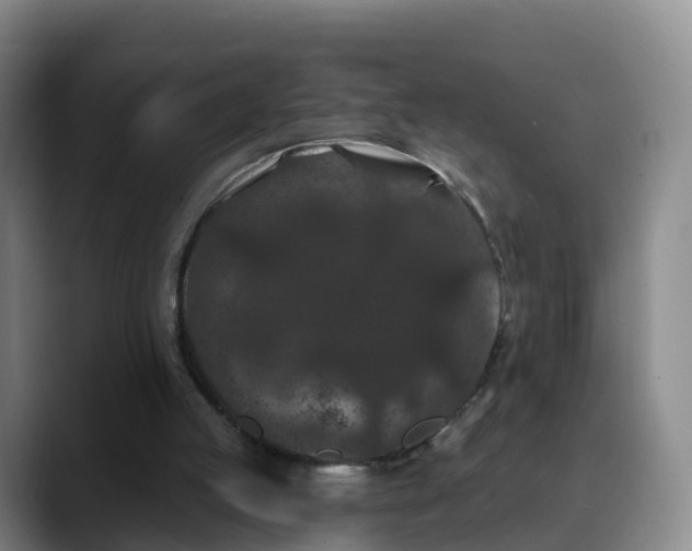 X0000088880053200706151819