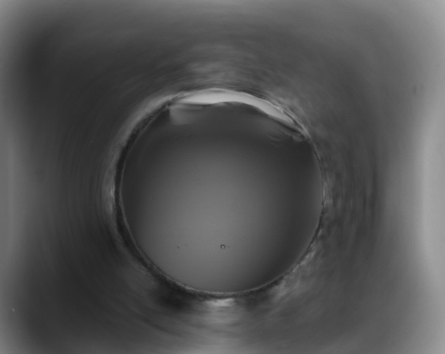 X0000088880054200706151819