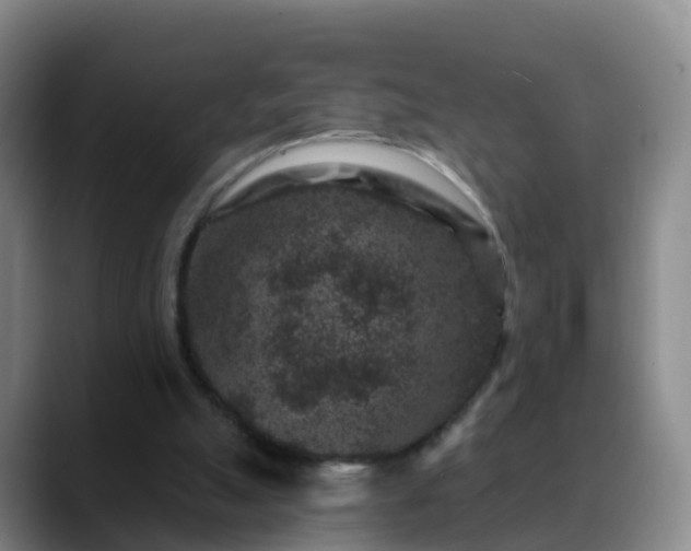 X0000088880055200706151819