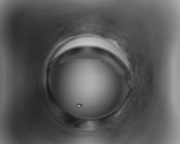 X0000088880056200706151819