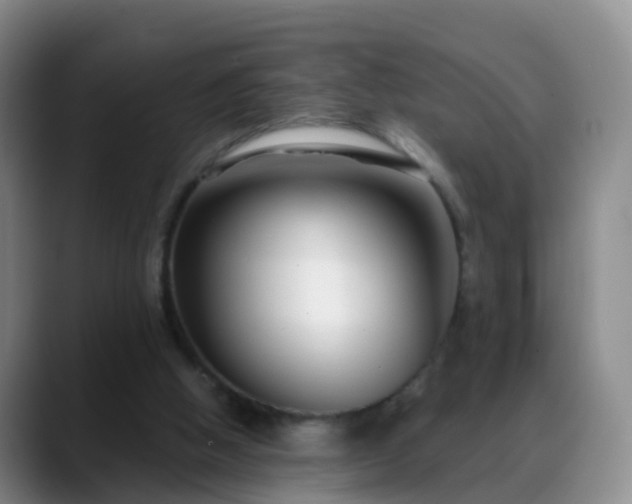 X0000088880058200706151819