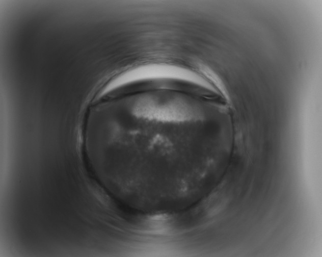 X0000088880059200706151819