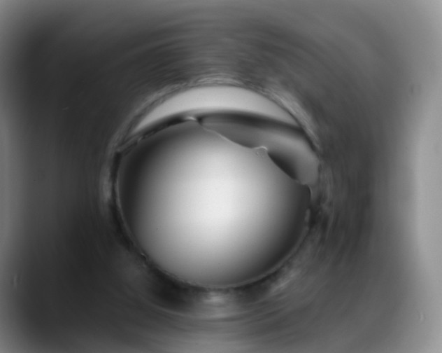 X0000088880060200706151819