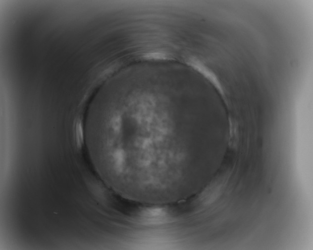 X0000088880061200706151819