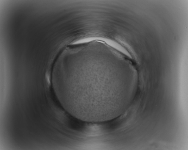 X0000088880062200706151819