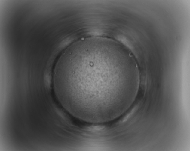 X0000088880063200706151819