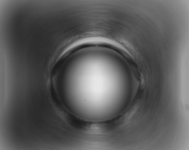 X0000088880064200706151819