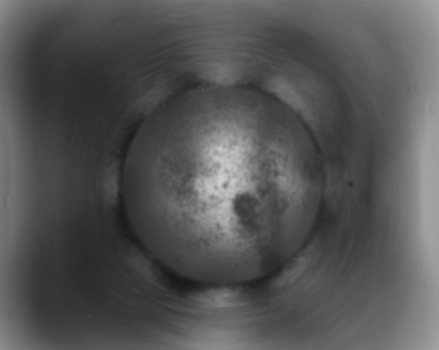 X0000088880065200706151819