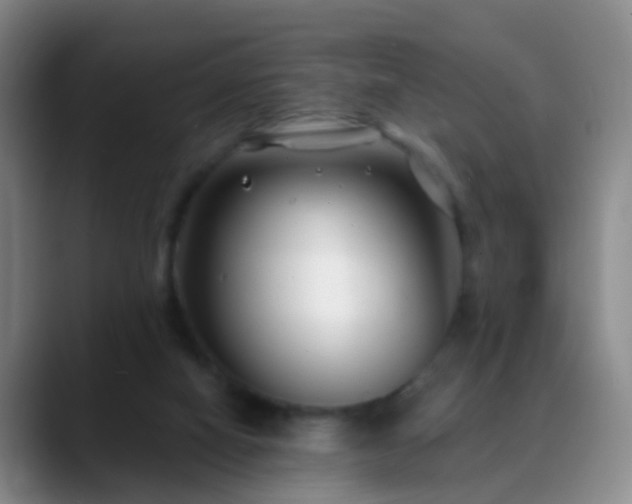 X0000088880066200706151819