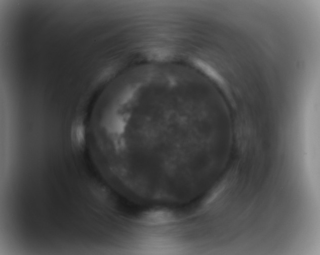 X0000088880067200706151819