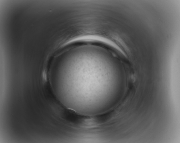 X0000088880068200706151819