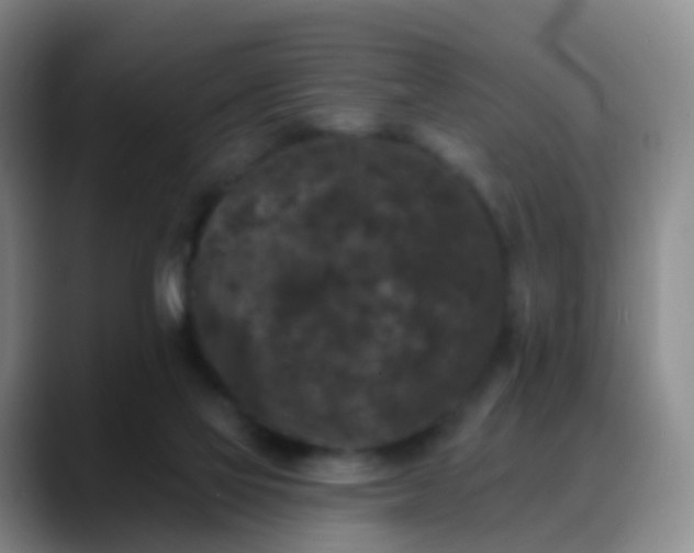 X0000088880069200706151819