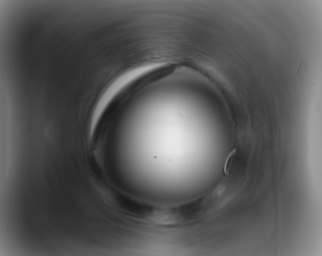 X0000088880070200706151819