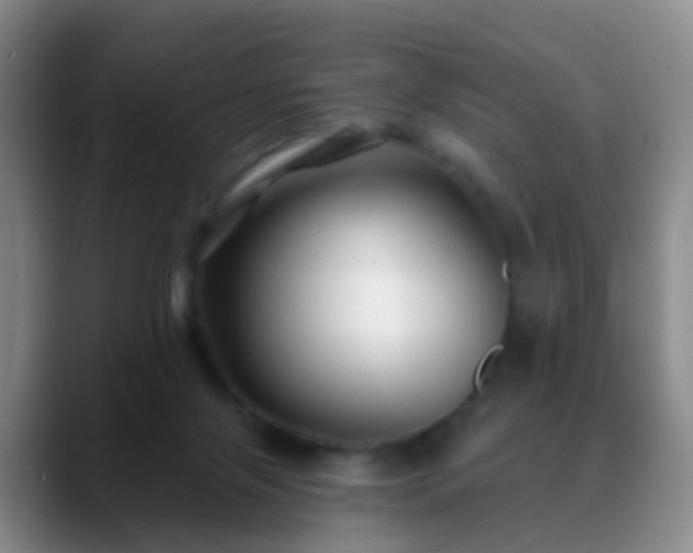 X0000088880071200706151819