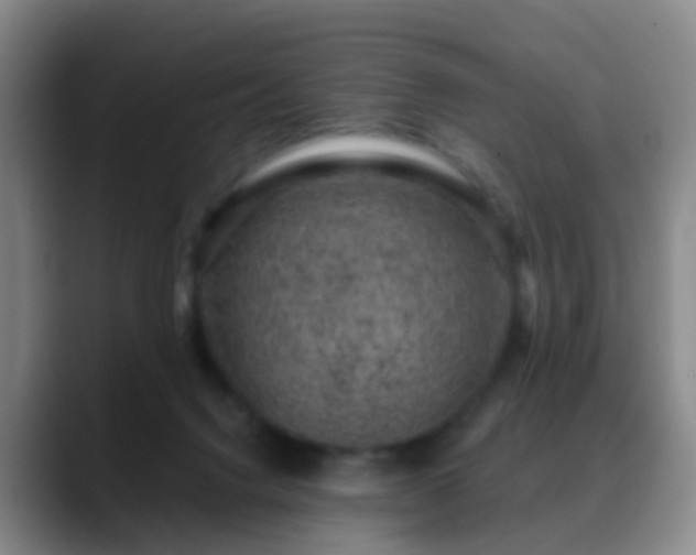 X0000088880072200706151819