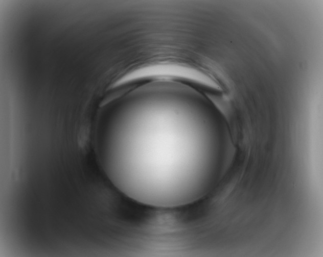 X0000088880073200706151819