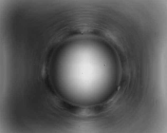 X0000088880074200706151819