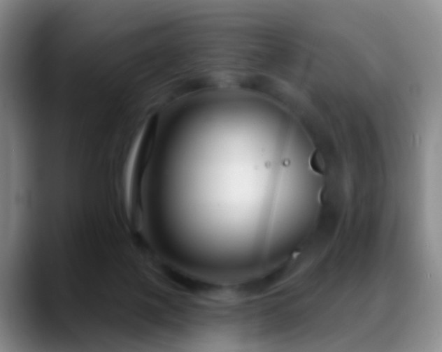 X0000088880075200706151819