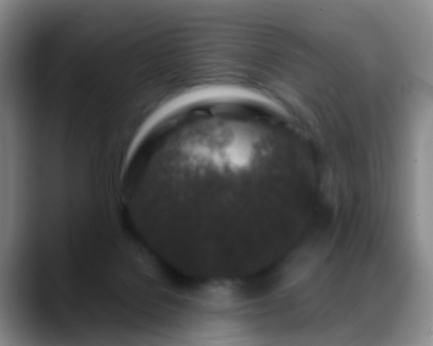 X0000088880076200706151819